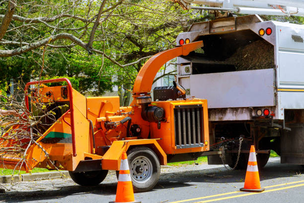 Mulching Services in Litchfield, MN